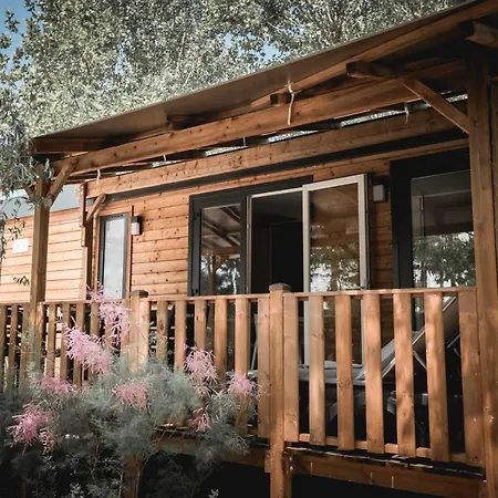 Nova キャンプ場 *